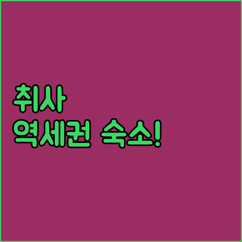 네덜란드 암스테르담 여행 취사 가능 호텔과 역세권 숙소 예약 가이드