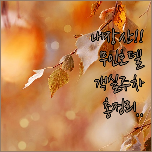 내장산 국립공원 인근 무인 호텔 위치와 객실 시설 주차 정보 총정리