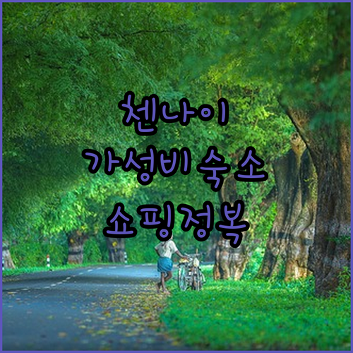 인도 첸나이 쇼핑몰 근처 가성비 숙소 리스트와 익스프레스 애비뉴 브랜드 가격 비교