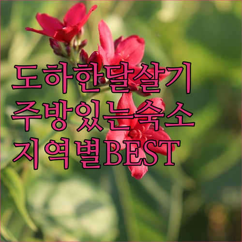 카타르 도하 한 달 살기 좋은 주방 있는 숙소와 지역별 인기 호텔 정리