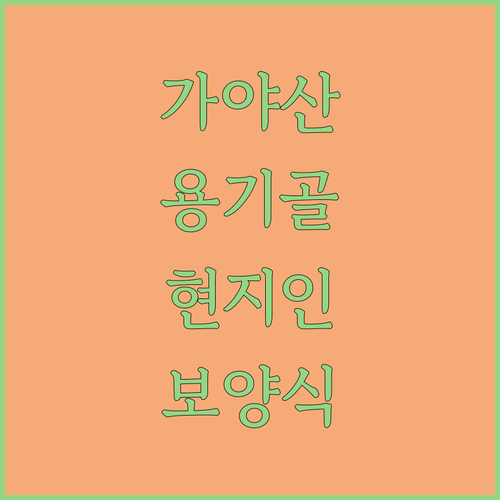 성주 가야산 용기골 주차장 근처 현지인 맛집과 보양식 추천 정보