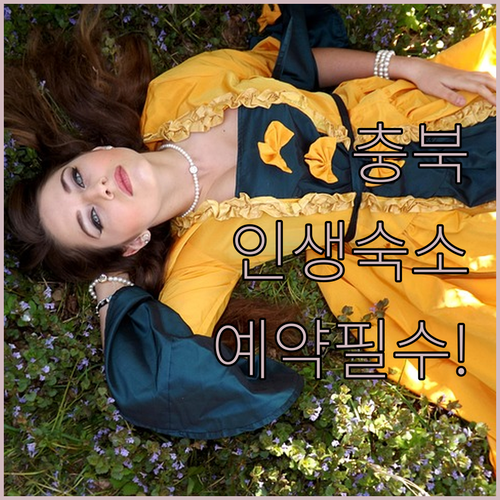 직접 가보고 싶은 충북 인생 숙소 리스트 위치별 장단점과 예약 정보